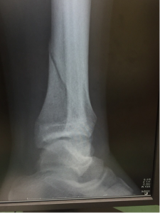 image1 (5)